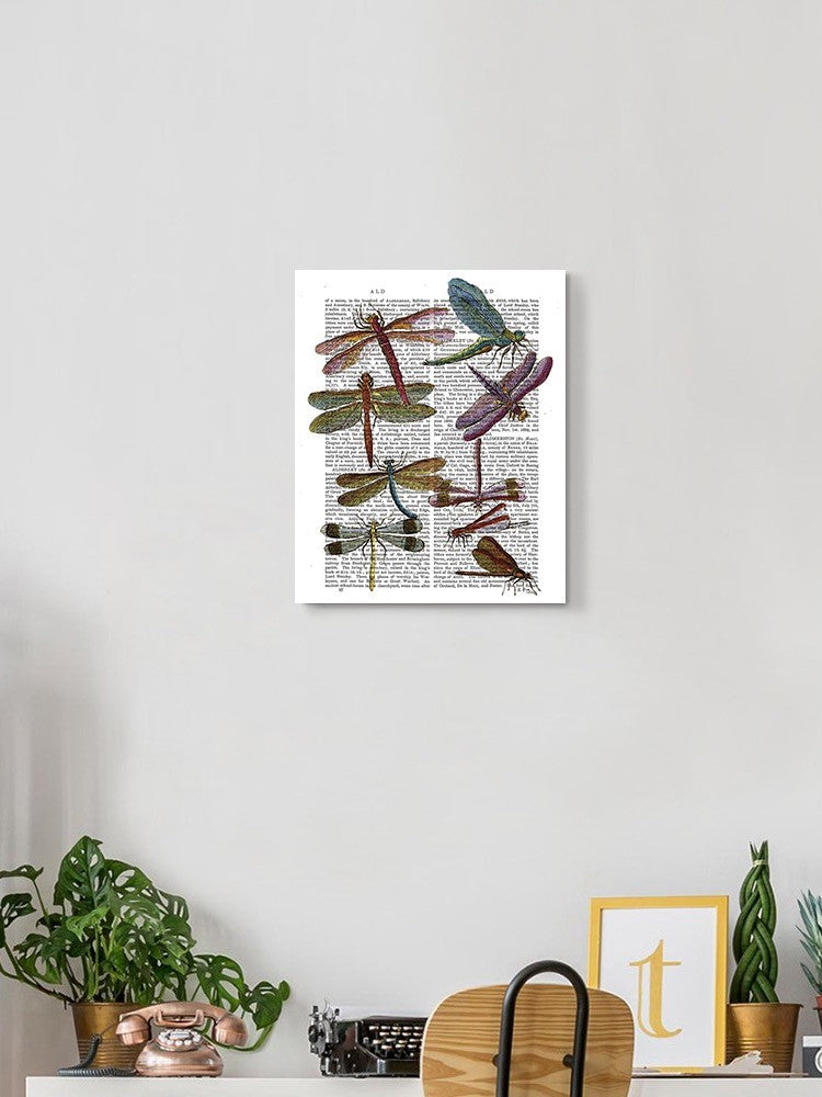 Dragonflies On Paper Wall Art -Fab Funky Designs