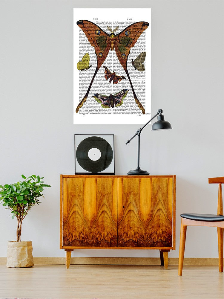 Moths In Paper Wall Art -Fab Funky Designs