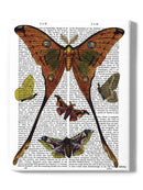 Moths In Paper Wall Art -Fab Funky Designs