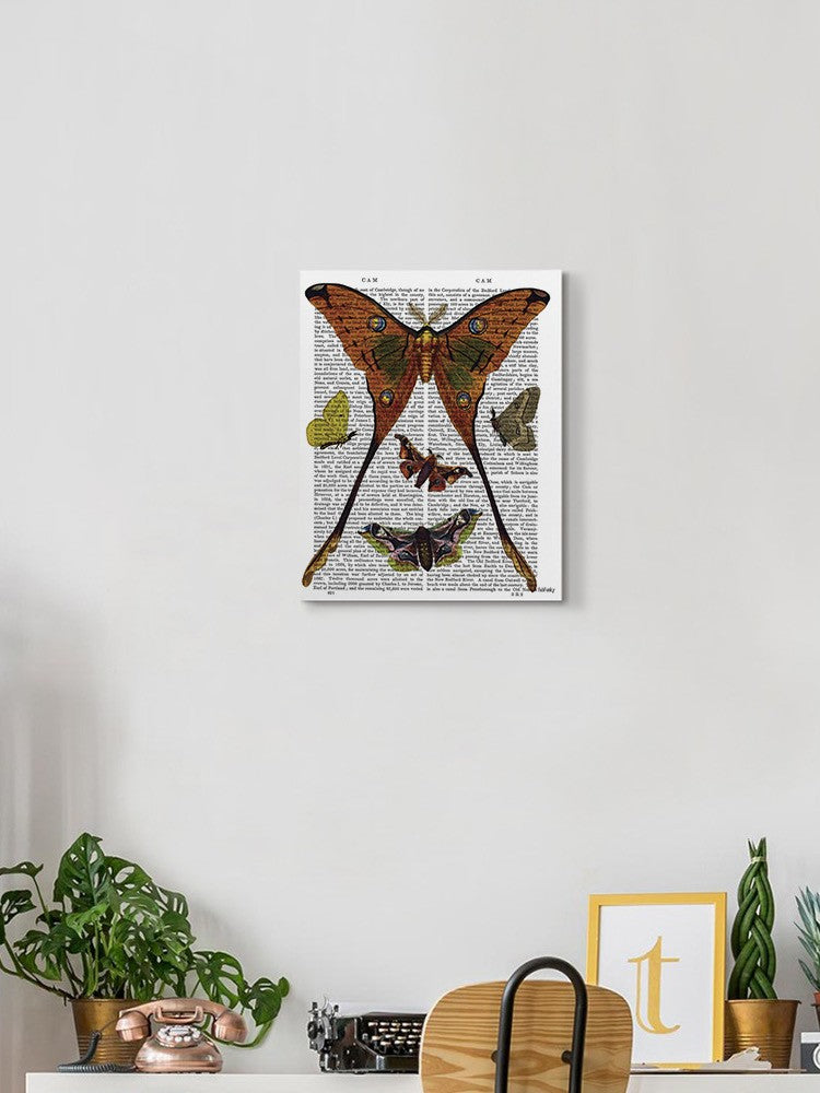Moths In Paper Wall Art -Fab Funky Designs