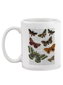 Paper Moths Mug -Fab Funky Designs