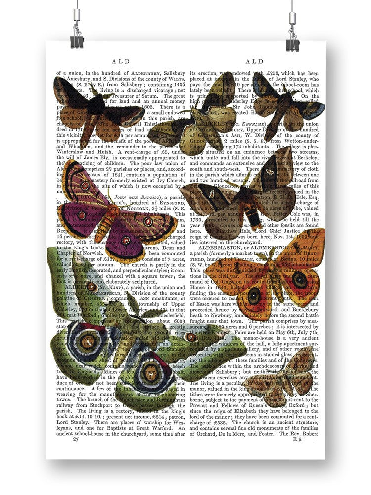 Paper Moths Wall Art -Fab Funky Designs