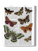 Paper Moths Wall Art -Fab Funky Designs