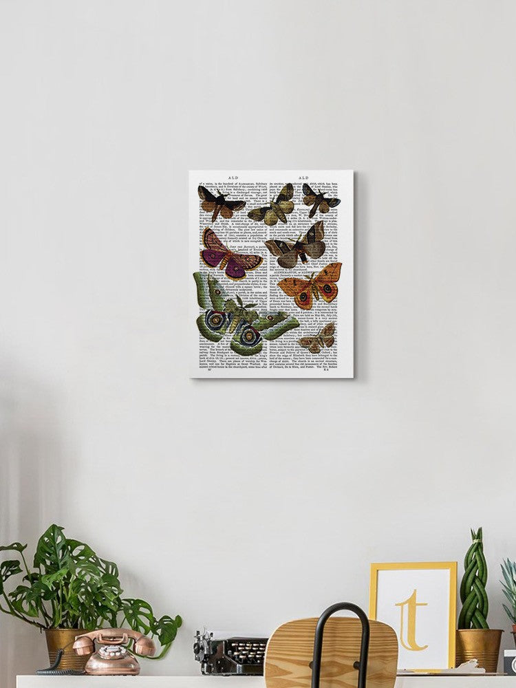 Paper Moths Wall Art -Fab Funky Designs