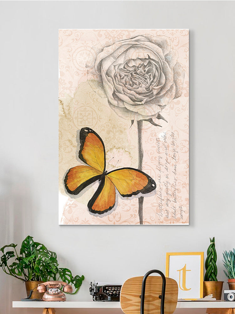 Shadow Box Butterfly B Wall Art -Grace Popp Designs