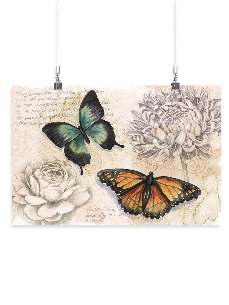 Shadow Box Butterfly A Wall Art -Grace Popp Designs
