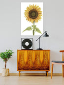 Sunny Flower I Wall Art -Grace Popp Designs