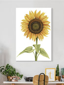 Sunny Flower I Wall Art -Grace Popp Designs