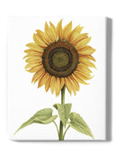 Sunny Flower I Wall Art -Grace Popp Designs