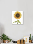 Sunny Flower I Wall Art -Grace Popp Designs