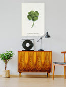 Good Luck Charm I Wall Art -Grace Popp Designs