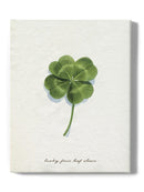 Good Luck Charm I Wall Art -Grace Popp Designs