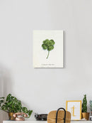 Good Luck Charm I Wall Art -Grace Popp Designs