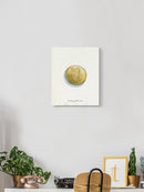 Good Luck Charm Iv Wall Art -Grace Popp Designs