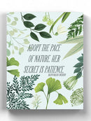Natural Bliss Ii Wall Art -Grace Popp Designs