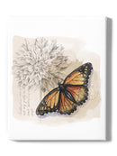 Shadow Box Butterfly Wall Art -Grace Popp Designs