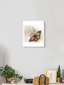 Shadow Box Butterfly Wall Art -Grace Popp Designs
