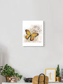 Butterfly On Paper Wall Art -Grace Popp Designs