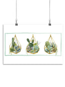 Hanging Terrarium Collection Wall Art -Grace Popp Designs