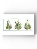 Hanging Terrarium Collection Wall Art -Grace Popp Designs