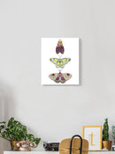 Moth Fairies I Wall Art -Grace Popp Designs