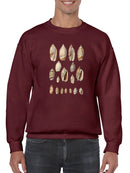 Cone Shell Display I Sweatshirt -Jennifer Goldberger Designs