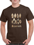 Cone Shell Display I T-shirt -Jennifer Goldberger Designs