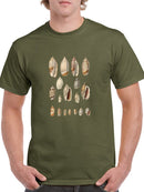 Cone Shell Display I T-shirt -Jennifer Goldberger Designs