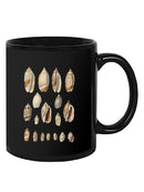 Cone Shell Display I Mug -Jennifer Goldberger Designs