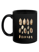 Cone Shell Display I Mug -Jennifer Goldberger Designs