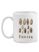 Cone Shell Display I Mug -Jennifer Goldberger Designs
