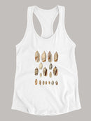 Cone Shell Display I T-shirt -Jennifer Goldberger Designs