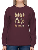Cone Shell Display I Sweatshirt -Jennifer Goldberger Designs