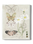 Field Notes Florals Iv Wall Art -Jennifer Paxton Parker Designs