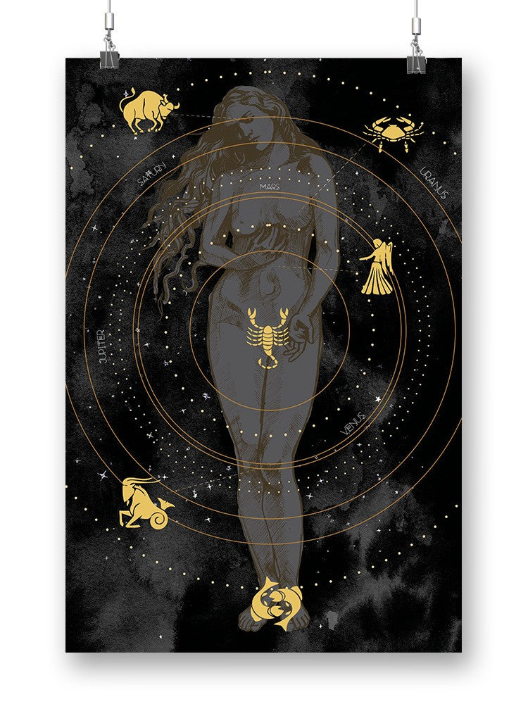 Zodiac Sign Constellations Wall Art -Jennifer Paxton Parker Designs