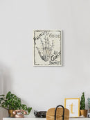 Mystical Iii. Wall Art -Jennifer Paxton Parker Designs