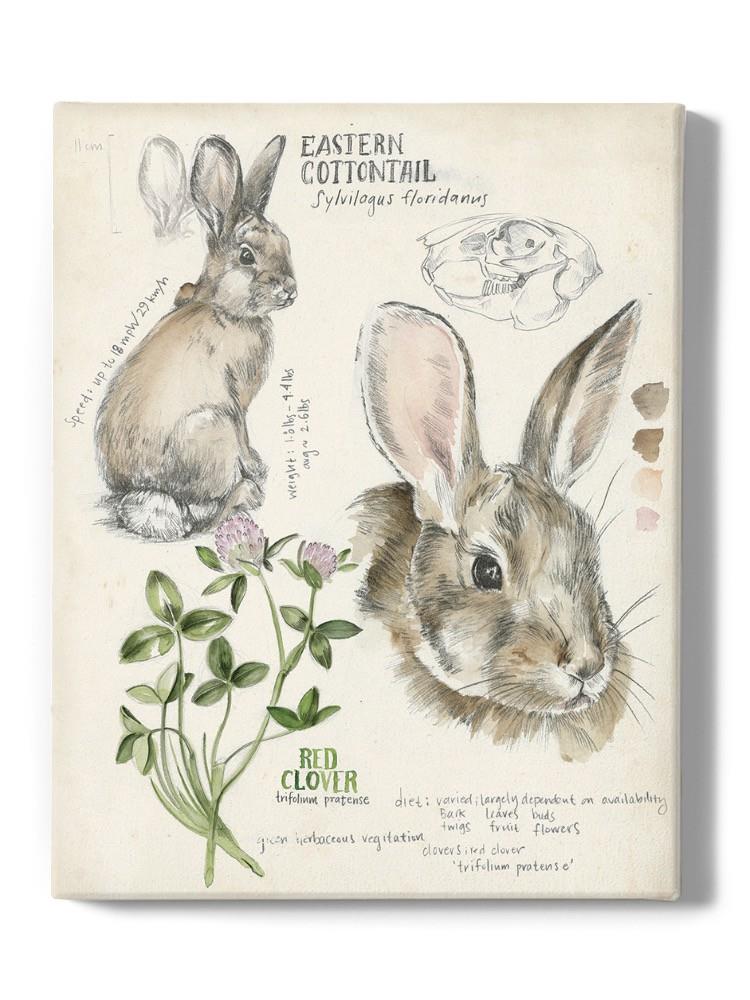 Wildlife Journals. Ii Wall Art -Jennifer Paxton Parker Designs