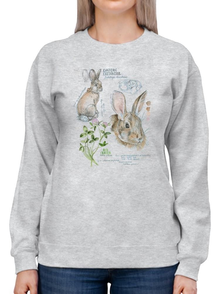 Wildlife Journal. Hare Sweatshirt -Jennifer Paxton Parker Designs