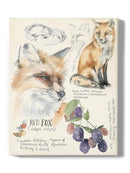 Wildlife Journals. Iii. Wall Art -Jennifer Paxton Parker Designs