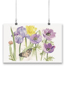 Lacey Flowers Wall Art -Jennifer Paxton Parker Designs
