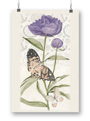 Flowers And Lace Wall Art -Jennifer Paxton Parker Designs