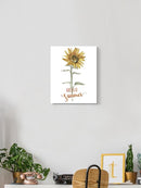 Hello Summer Sunflower Wall Art -Jennifer Paxton Parker Designs