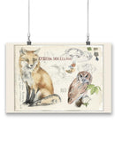 Wildlife Journal Fox Wall Art -Jennifer Paxton Parker Designs