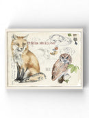 Wildlife Journal Fox Wall Art -Jennifer Paxton Parker Designs