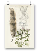 Wildlife Journal Hare Wall Art -Jennifer Paxton Parker Designs