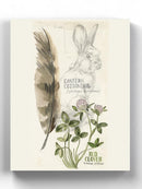 Wildlife Journal Hare Wall Art -Jennifer Paxton Parker Designs