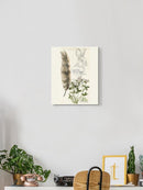 Wildlife Journal Hare Wall Art -Jennifer Paxton Parker Designs