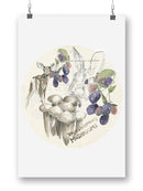 Wildlife Journal Berries Wall Art -Jennifer Paxton Parker Designs
