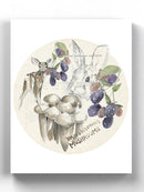 Wildlife Journal Berries Wall Art -Jennifer Paxton Parker Designs