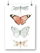 Summer Butterflies. Wall Art -Jennifer Paxton Parker Designs